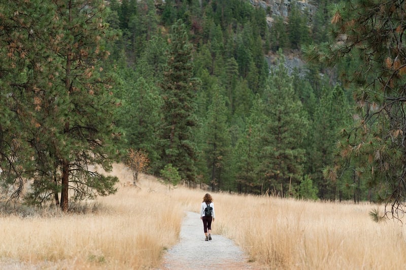Mindful Hike